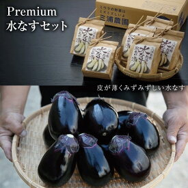 【ふるさと納税】Premium（プレミアム）水なすセット