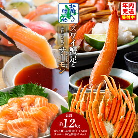 【ふるさと納税】【北国からの贈り物】 ズワイガニ足 1kg 3L 4L サイズ 蟹酢付き 昆布塩加工 アトランティックサーモン 200g 海鮮 食べ比べ セット 食べ応え とろける 脂のり サーモン かに 海の幸 魚介類 お取り寄せ 年内発送 大阪府 泉佐野市 送料無料