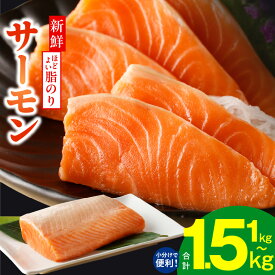 【ふるさと納税】特別寄附金額 最短翌日 サーモン 1kg / 1.5kg 定期便 訳あり 発送時期が選べる サイズ不揃い 鮭 ポーション 小分け ブロック 柵 刺身 海鮮丼 カルパッチョ 骨取り 生食 海鮮 冷凍 楽天限定 年内発送 最短 翌日発送 5営業日 大阪府
