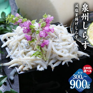 yӂ邳Ɣ[Łz10/1`񕍊z |IƓw g炷 B炷  300g / 600g / 900g  S6 g VX  }Ⓚ 炷̕ 炷  ͂̂