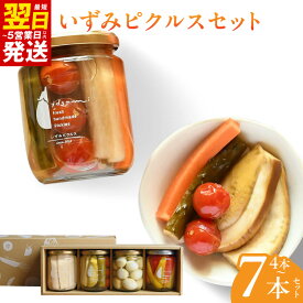 【ふるさと納税】ピクルス 選べる 4本 / 7本 セット ギフト箱入 誕生日 記念日 贈り物 水なす 水なすピクルス和風mix コンポート フルーツ おつまみ おやつ いずみピクルス NSW お取り寄せ 最短 翌日発送 5営業日 大阪府 泉佐野市 送料無料