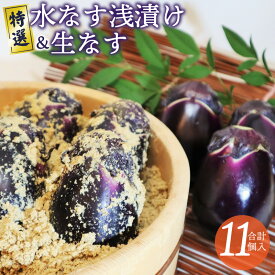 【ふるさと納税】【先行予約】 特選水なす 浅漬け ＆ 生なす 11個入り 特選品 ナス 皮が薄い 柔らかい あくが少ない ぬか漬け 泉州産 新鮮 野菜 冷蔵 食品 食べ物 漬物 お取り寄せ 大阪府 泉佐野市 送料無料