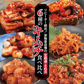 【ふるさと納税】キムチ 食べ比べ 6種類 定期便 全6回 白菜 特製チャンジャ 大根キムチ らっきょキムチ するめキムチ きゅうりキムチ 手作り おつまみ おかず ご飯のお供 新鮮 濃厚 辛味 漬物 発酵食品 韓国 お取り寄せ グルメ 大阪府 泉佐野市 送料無料