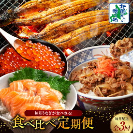【ふるさと納税】毎月うなぎが食べれる! 食べ比べ 定期便 全3回 うなぎ 蒲焼き 粉山椒 サーモン 牛丼の素 いくら 醤油漬け 毎月配送コース 地焼き 有頭鰻 アトランティックサーモン お取り寄せ お取り寄せグルメ 冷凍 大阪府 泉佐野市 送料無料