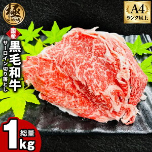 yӂ邳Ɣ[Łzy󂠂z A4Nȏ јa T[C ؂藎Ƃ 250g × 4P v 1kg  Y A4 A5 t ɖt _V^t  TCYs Ⓚ ȒP  