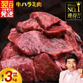 【ふるさと納税】総合1位獲得 牛 ハラミ 数量限定 選べる内容量 400g 〜 3kg 牛すじ佃煮 食べ比べ ねぎ塩牛タン 訳あり 楽天限定 味付け肉 小分け 個包装 牛肉 牛ハラミ 満足度9割 肉の泉佐野 発送月 泉佐野市 最短 翌日発送 5営業日 送料無料