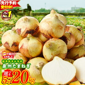 【ふるさと納税】【先行予約】 1位獲得 ★高評価 射手矢さんちの 泉州たまねぎ 5kg / 10kg / 20kg 訳あり 玉ねぎ 甘い 野菜 肉厚 水分多い 国産 M級以上 期間限定 おかず 副菜 レシピ 新たまねぎ オニオン サラダ カレー バーベキュー BBQ 肉じゃが 泉佐野市 送料無料