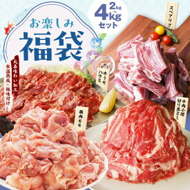 【ふるさと納税】お楽しみ福袋 4種 2kg / 4kg 切り落とし 牛ハラミ スペアリブ 鶏肉 小間切り落とし 希少部位 牛うち ハラミ 骨付き 厚切り 国産豚 鶏もも肉 氷温熟成牛 牛肉 氷温熟成豚 豚肉 熟成肉 氷温熟成 作り方 ふるさと納税オリジナル 限定 送料無料 肉の泉佐野