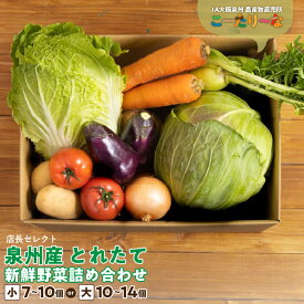 【ふるさと納税】直売所 店長セレクト 季節の野菜セット 小 7個 〜 10個 8kg以内 / 大10個 〜 14個 15kg以内 JA大阪泉州 農産物直売所 こーたり〜な とれたて 新鮮 野菜 詰め合わせ セット 野菜セット 泉佐野市産 泉州産 国産 お取り寄せ 大阪府 泉佐野市 送料無料