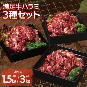 yӂ邳Ɣ[Łz n~ 3 Zbg Ðh^ h^ IWi XpCX d Iׂ e 1.5kg / 3kg t n~  Ă ȒP BBQ  Ă 񂹃O