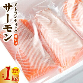 【ふるさと納税】アトランティックサーモン 1kg ポーション 柵 小分け 上質 ブロック状 鮭 柵切り おかず 和食 刺身 生食 生食用 海鮮丼 真空パック 食品 魚 海鮮 魚介 冷凍 骨取り 骨抜き お取り寄せ 大阪府 泉佐野市 送料無料