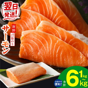yӂ邳Ɣ[ŁzȂŒZ |IƓw T[ 1kg / 1.5kg  󂠂 Iׂ TCYs  |[V  ubN  hg CN Jpb` H Nx