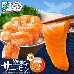 yӂ邳Ɣ[Łz1ʊl ] AgeBbNT[ 200g ` 2kg ȏ nl Ή Iׂ   pbN tB |[V hg  CN Jpb` i T_ 