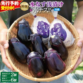 【ふるさと納税】【先行予約】 水なす漬け 2個 徳用 水なす 6個 セット 特選 着色料・保存料無添加 大阪エコ農産物の認定 ナス 自家製 朝採れ こだわり おひたし てんぷら お取り寄せ お取り寄せグルメ 食品 レビュー 口コミ 食べ物 冷蔵 大阪府 泉佐野市 送料無料