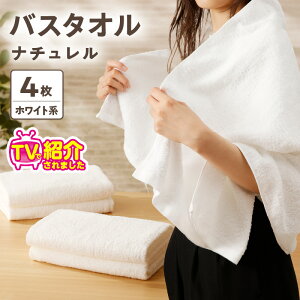 yӂ邳Ɣ[ŁzTVŏЉI ̃oX^I 4 zCgn i`  60cm × 122cm  pC B^I { 100  z ґ ӂӂ G _炩 pi g 