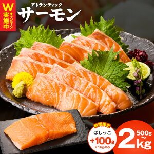 yӂ邳Ɣ[Łz|IƓw ] AgeBbNT[ 500g / 1.1kg / 2kg  󂠂 TCYs hg |[V ubN  T[  ^pbN  CN   H 