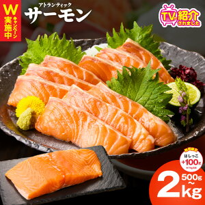 yӂ邳Ɣ[ŁzTVŏЉ! |IƓw AgeBbNT[ 500g ` 2kg  󂠂 TCYs hg |[V ubN  T[  ^pbN  CN   H 