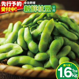 【ふるさと納税】【先行予約】 新鮮 枝豆 栄錦 選べる 内容量 200g×5袋 / 8袋 合計 1kg / 1.6kg 生枝豆 コク 風味 晩酌 お酒 おつまみ ビール お供 塩ゆで 生鮮食品 野菜 お取り寄せ グルメ 大阪府 泉佐野市 送料無料