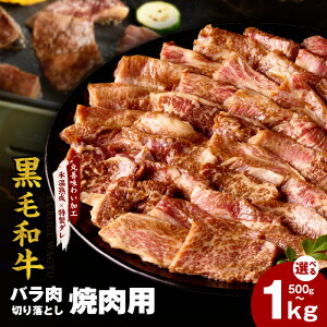 yӂ邳Ɣ[Łzјa o ؂藎Ƃ Iׂ e 500g / 1kg ēp Xn _ t Ă ȒP BBQ  a  `[n ē AW ͂̂ 