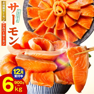 【ふるさと納税】満足度9割以上 サーモン ポーション 1kg / 1.5kg 切落し 900g 定期便 訳あり 発送時期が選べる サイズ不揃い 鮭 小分け ブロック 柵 刺身 海鮮丼 生食 鮮度抜群 海鮮 冷凍 驚異の