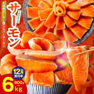 yӂ邳Ɣ[Łzx9ȏ T[ |[V 1kg / 1.5kg ؗ 900g  󂠂 Iׂ TCYs   ubN  hg CN H NxQ CN Ⓚ ق