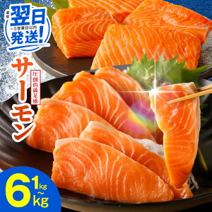 yӂ邳Ɣ[ŁzȂŒZ |IƓw T[ 1kg / 1.5kg  󂠂 Iׂ TCYs  |[V  ubN  hg CN Jpb` H Nx