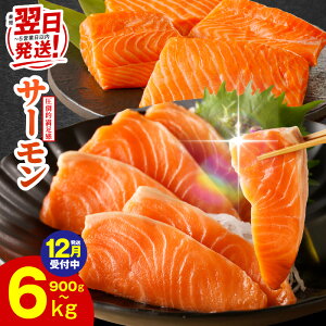 yӂ邳Ɣ[ŁzȂŒZ |IƓw T[ |[V 1kg / 1.5kg ؗ 900g  󂠂 Iׂ TCYs   ubN  hg CN H NxQ 