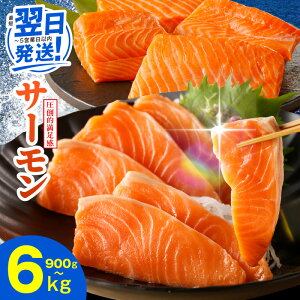 yӂ邳Ɣ[ŁzȂŒZ |IƓw T[ |[V 1kg / 1.5kg ؗ 900g  󂠂 Iׂ TCYs   ubN  hg CN H NxQ 