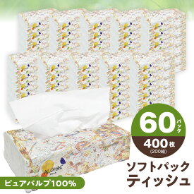 【ふるさと納税】ALOHAS ソフトパックティッシュ 60パック×400枚 200組 省資源 分別不要 コンパクト設計 柔らか パッケージ 持ち運び 便利 生活用品 雑貨 日用品 必需品 紙 常備品 備蓄 防災グッズ 発送月 大阪府 泉佐野市 オリジナル 送料無料