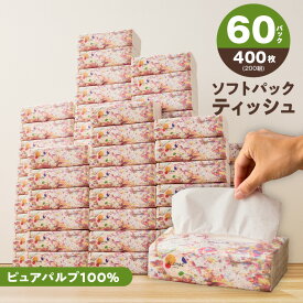 【ふるさと納税】【発送月が選べる】 ソフトパックティッシュ 60パック×400枚 200組 ピュアパルプ ALOHAS 柔らか パッケージ 日用品 紙 常備品 ストック ティッシュ コンパクト まとめ買い 防災グッズ 2部門ランクイン オリジナル 大阪府 泉佐野市 送料無料 圧倒的企業努力