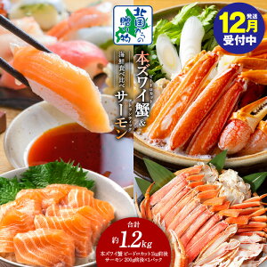 yӂ邳Ɣ[ŁzyNtz {YCI r[hJbg 1kg I|t zH AgeBbNT[ 200g CN Hה Zbg k̑蕨 YCKj  T[ 