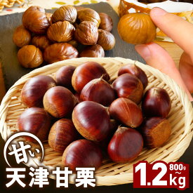 【ふるさと納税】当店自慢の天津甘栗 選べる 内容量 800g / 1.2kg 天津甘栗 甘栗 栗 配送当日 焼成 こだわり 独自製法 甘味料 不使用 自然の甘さ 常温 食品 お取り寄せ お取り寄せグルメ 大阪府 泉佐野市 送料無料