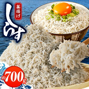 【ふるさと納税】\訳あり/ しらす 約 700g 釜揚げ 大阪湾産 国産 家庭用 シラス丼 無添加(保存料、着色料、香料不使用) 天然 カルシウム おつまみ 酒の肴 ごはんのお供 お取り寄せ 家飲