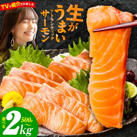 【ふるさと納税】TVで紹介! アトランティックサーモン 500g 〜 2kg 訳あり サイズ不揃い 刺身 ポーション ブロック 柵 サーモン 鮭 真空パック 魚 海鮮 魚介 生 生食 おかず 小分け 冷凍 ★高評価 ランキング急上昇中 発送月 年内発送 泉佐野市 送料無料