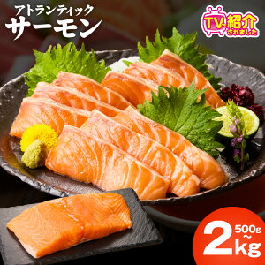 yӂ邳Ɣ[ŁzTVŏЉ! AgeBbNT[ 500g ` 2kg  󂠂 TCYs hg |[V ubN  T[  ^pbN  CN   H   Ⓚ 