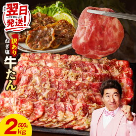 【ふるさと納税】ねぎ塩 成型 牛たん 牛ハラミ 500g 〜 2.5kg 訳あり 選べる 内容量 楽天限定 小分け 味付け 塩だれ お肉 牛肉 タン 焼肉 BBQ 薄切り スライス 定期便 3回 真空パック 冷凍 最短 翌日発送 5営業日 年内発送 発送月 泉佐野市 肉の泉佐野