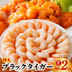 yӂ邳Ɣ[Łz  ubN^CK[ Iׂ  Zbg 500g ` 2kg   󂠂 TCYs ^ ނ ނg w^Ȃ o^tCJbg Kvȕ o