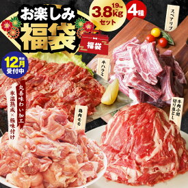 【ふるさと納税】お楽しみ福袋 4種 1.9kg / 3.8kg 切り落とし 牛ハラミ スペアリブ 鶏肉 小間切り落とし 骨付き 厚切り 国産豚 鶏もも肉 氷温熟成牛 牛肉 氷温熟成豚 極味付け 豚肉 熟成肉 氷温熟成 ふるさと納税オリジナル 限定 肉の泉佐野 年内発送 発送月 大阪府 泉佐野市