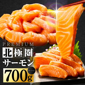 yӂ邳Ɣ[ŁzkɌT[ |[V 700g AgeBbNT[ T[   CN  mEF[Y hg Jpb` i pX^ Hi  Ⓚ 򍲖s 