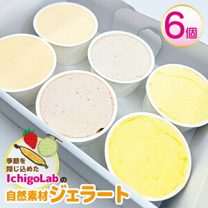 �y�ӂ邳�Ɣ[�Łz���R�f�� �W�F���[�g 3�� × 2�� �v6�� �H�ה�� �A�C�X �X�C�[�c �G�߂̂�����[�� ������ ������ �g�E�����R�V IchigoLab �����s�g�p �ۑ����s�g�p ���F���s�g�p �T�g�E�L�r�R