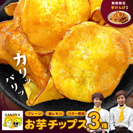 【ふるさと納税】期間限定 芋匠さのや 大人気お芋チップス 3種 プレーン / 塩レモン / バター醤油 芋けんぴ小50g付き セット 鳴門金時 芋 さつまいも おやつ お菓子 おつまみ 手作業 お取り寄せ お取り寄せスイーツ 大阪府 泉佐野市 送料無料 圧倒的企業努力