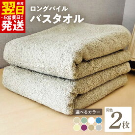 【ふるさと納税】ロングパイルバスタオル セット 泉州タオル 選べる カラー アースブラウン / グラスグリーン / パールホワイト / マリンブルー / ミルクアイボリー / ラズベリーレッド / コカブラウン / スレイトグレー 無地 単色 最短 翌日発送 5営業日 泉佐野市 送料無料