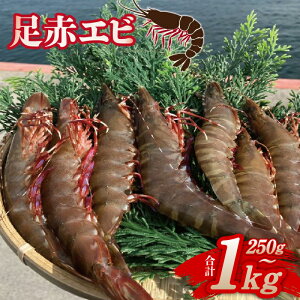 �y�ӂ邳�Ɣ[�Łz���ԃG�r 250g / 500g / 1kg �Ⓚ �^��p�b�N ���Y ���� �V�R �Ղ�Ղ� �C�N ���g�� ���H�� ���H �V�N ������ �n��Y ���{�Y �}���Ⓚ �Â� �h�g �V�Ղ� ���Ă� �A�q�[�W�� �G�r