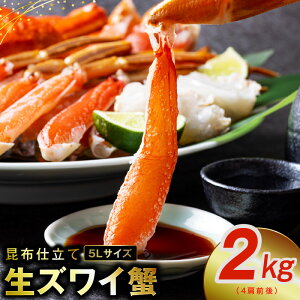 �y�ӂ邳�Ɣ[�Łz�����킢�I 2kg 5L�T�C�Y 4���O�� ���z�d����