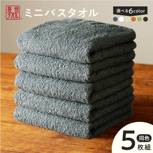 yӂ邳Ɣ[Łz~joX^I 5 Zbg O[ / u[O[ / x[W / zCg / }X^[hCG[ / _[NO[ 40cm×120cm 500  B^I tFCX^I ȏ o