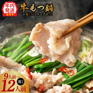 yӂ邳Ɣ[Łz  Y z  900g / 1.2kg  X[v Zbg  9lO 12lO   z    yf Y  ȒP Ⓚ  