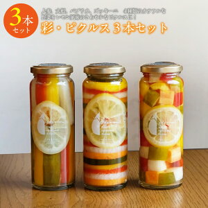 �y�ӂ邳�Ɣ[�Łz���ʊ񕍋��z �ʃV���[�Y �s�N���X 3�{ �Z�b�g �����݃s�N���X �l�ߍ��킹 �l�Q �卪 �p�v���J �Y�b�L�[�j ���イ�� �J���t���Ȗ�� �Ђ��� �ӎ� �r ������ ���{ ��