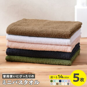 yӂ邳Ɣ[ŁzB^I igɂ҂ ~j oX^I 5 Zbg IׂJ[   pC n z RpNg VRf Y  100 { B ~joX^I 