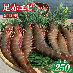 �y�ӂ邳�Ɣ[�Łz�y����ցz���ԃG�r 250g �S3�� / �S6�� �Ⓚ �^��p�b�N ���Y ���� �V�R �Ղ�Ղ� �C�N ���g�� ���H�� ���H �V�N ������ ���{�Y �}���Ⓚ �Â� �h�g �V�Ղ� ���Ă� �A�q�[�W