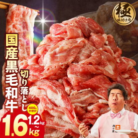 【ふるさと納税】【訳あり】【極味付け肉】国産 黒毛和牛 切り落とし 1.2kg / 1.6kg 小分け 各400g 部位不揃い すぐ届く 大阪府 泉佐野市 送料無料 肉の泉佐野 氷温熟成牛 牛肉 熟成肉 氷温熟成 作り方 ふるさと納税オリジナル 限定